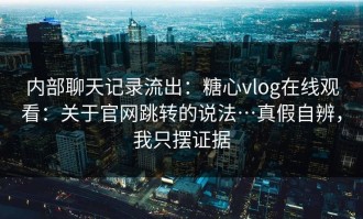 内部聊天记录流出：糖心vlog在线观看：关于官网跳转的说法…真假自辨，我只摆证据