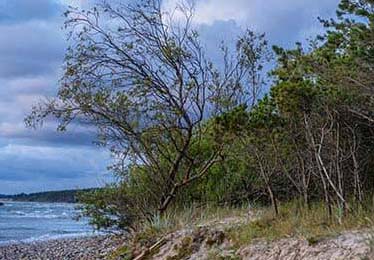 别把时间浪费在错误页面——糖心：新官方入口这件事：原来大家都误会了！学会了你会谢谢我