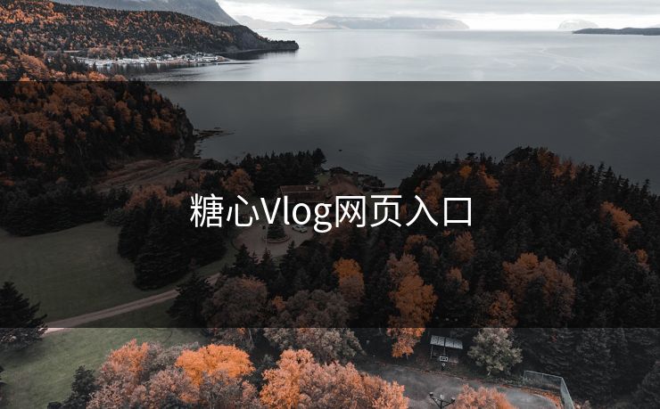 糖心Vlog网页入口